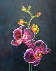 mysterious orchid 40*50