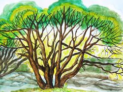 willow trees horizontal watercolor painting