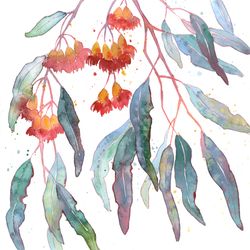 eucalyptus painting original botanical art blooming eucalyptus watercolor wall art