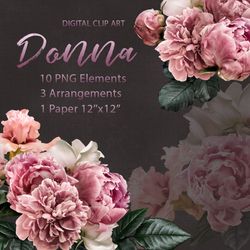 pink peonies and roses clipart. moody florals clip art.