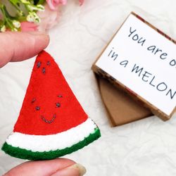 watermelon pocket hug in box, you are one in a melon, cute long distance girlfriend gift