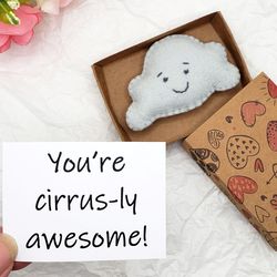 cloud pocket hug in a box, you're cirrus-ly awesome, nice long distance girlfriend gift