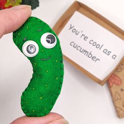 cucumber gift, pocket hug in box, you're cool as a cucumber, valentines day long distance gift for boyfriend