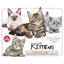 watercolor kittens clipart set - realistic cat portrait png