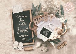 announcing pregnancy digital, neutral baby announcement, baby announcement for social media, facebook instagram