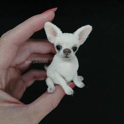 chihuahua. white crocheted dog. cute puppy. a miniature pet. amigurumi. a puppy to order.a dog for memory. souvenir chih