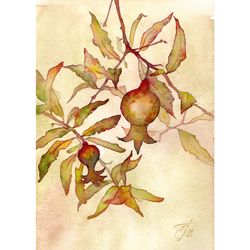 pomegranate painting original art red fruit watercolor wall art botanical artwork pomegranate art