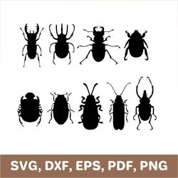 bug svg, beetle svg, bugs svg, beetles svg, bug dxf, beetle dxf, bug template, beetle template, bug cutout, svg, dxf