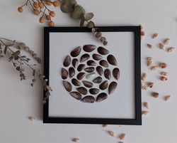 8*8 inch. mini-picture circle sea mussels in a frame. mandala shell art. wall art made from seashells. unique gift.