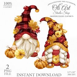 Fall Gnome. Autumn Pumpkin. Cute Characters, Hand Drawn graphics. Digital Download. OliArtStudioShop