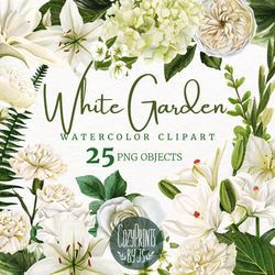 white flowers. wedding clipart collection, hand drawn watercolor clipart png