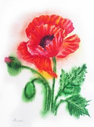 red poppy, watercolor original, flower, floral gift