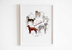 poster for interior dogs are the best friends, dogs of different breeds