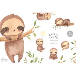 sloth clipart. watercolor baby animal