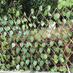 artificial garden fence