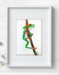 Green Tree Frog 8x11 inch watercolor original wall decor aquarelle painting by Anne Gorywine