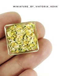 dollhouse miniature 1:12 salad caesar