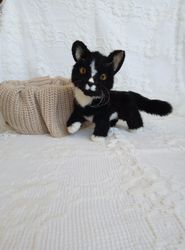 realistic plush kitten in black and white by photo