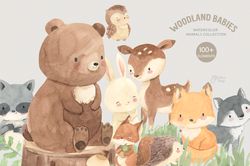 woodland babies. watercolor animal clipart