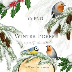 watercolor christmas forest clipart, winter clip art with snow covered fir branches, robin bird, blue tit