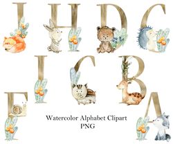 watercolor alphabet clipart, woodland animals.