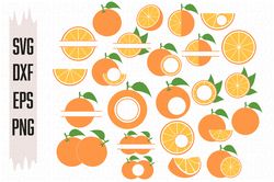 Orange Svg, Fruit Svg, Digital download