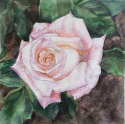 "violet rose" flower original wall art painting watercolor artwork, 17x17cm.