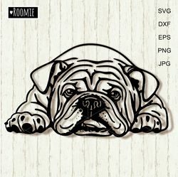 american bulldog svg, english bulldog svg, peeking dog shirt design car decal clipart vector cut file cricut vinyl /97