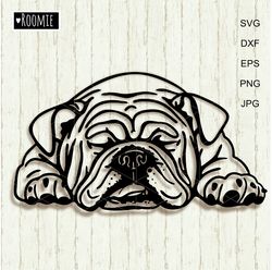 sleeping american bulldog svg, english bulldog svg, peeking dog shirt design car decal clipart vector cutfile cricut /98