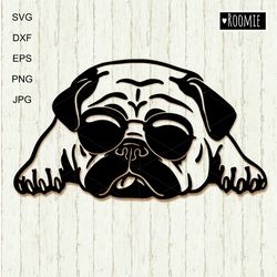 pug dog with sunglasses svg clipart for cricut, pet portrait, dog shirt design car decal cut file cricut vinyl /114