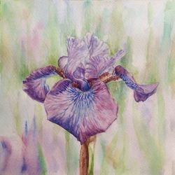 lilac iris flower original wall art painting watercolor artwork picture floral