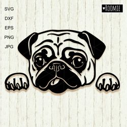 peeking pug dog svg clipart for cricut, pet portrait, love pugs shirt design car decal vector cut file cricut vinyl /118