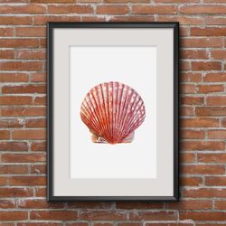 seashell scallop watercolor illustration for printing poster a2 marine clipart seashell on transparent background