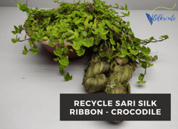 sari silk ribbon - crocodile - silk ribbon - recycled sari silk ribbon - sari silk ribbon yarn - gift ribbon