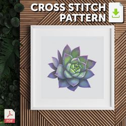 cross stitch pattern - succulents - purple beauty