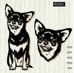 chihuahua svg for cricut, chihuahua shirt design, laser cut file cameo vinyl sublimation car decal clipart vector /174