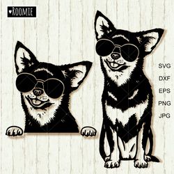 chihuahua with sunglasses svg cricut shirt design, laser cut file cameo vinyl sublimation car decal clipart vector /175