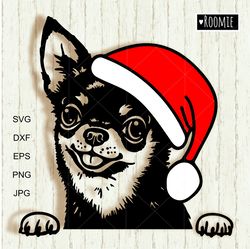 christmas chihuahua with santa hat svg, dog laser cut file vinyl sublimation car decal shirt design clipart cricut /198