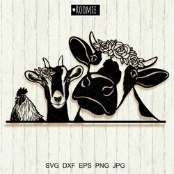 farm animals clipart with flowers svg cricut, cow goat rooster svg, farmhouse sign, cut file cameo silhouette vinyl