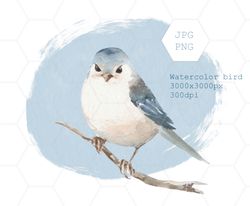 watercolor bird clipart. digital clipart png, cute bird sublimation design