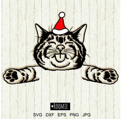 cute christmas cat with santa hat svg files cricut, new year cat, christmas animals clipart, kitty portrait vinyl cameo