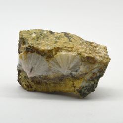 phenacite phenakite specimen