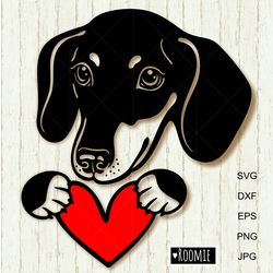 dachshund with heart svg, dachshund dog lovers gift, badger dog shirt cut file cricut silhouette, memorial love /83