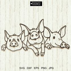 pigs svg, pig face svg, farm animals clipart, piggy cut file, farmhouse, piglet portrait cricut vinyl cameo silhouette