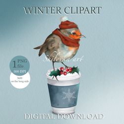 robin bird, coffee cup. winter clipart png. digital download.