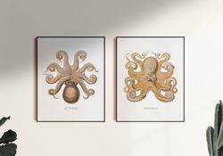 octopus art poster. octopus vintage poster. octopus print. printable wall art. set of 2 prints. digital download