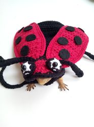 ladybug bearded dragon costume, ladybug rat costume, ladybug guinea pig costume