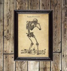 a crying human skeleton. antique anatomical atlas poster. 34.