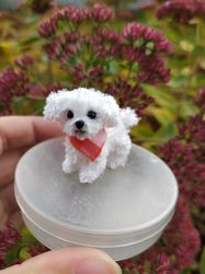 Miniature realistic maltese dog minitoy ooak puppy pet friend for doll custom dog figurine dollhouse miniatures handmade