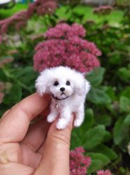 miniature realistic maltese dog minitoy ooak puppy pet friend for doll custom dog figurine dollhouse miniatures handmade